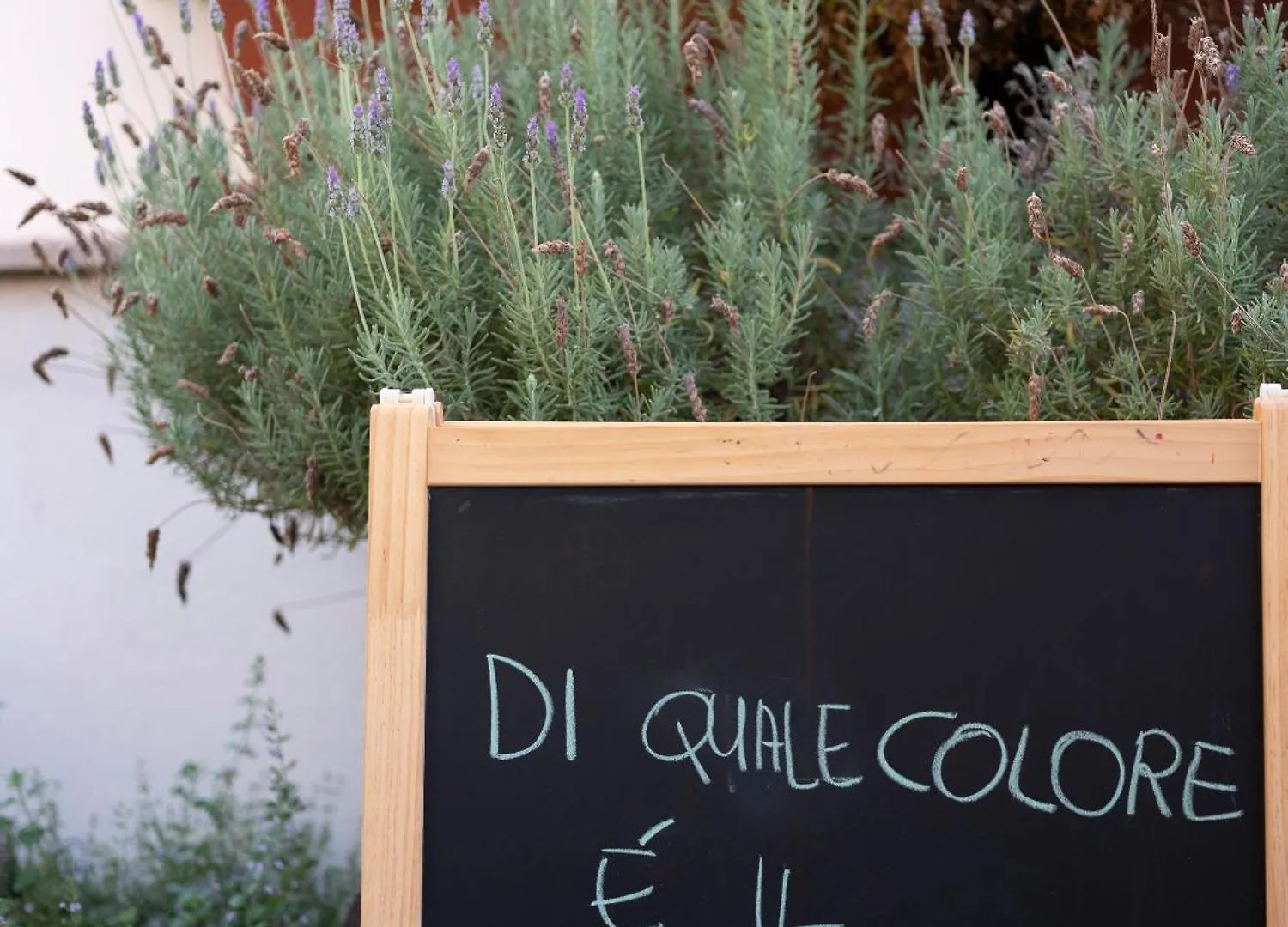 Imago Plus Hotel Bari